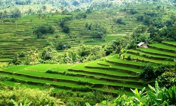 Copy (2) of IMG_3713